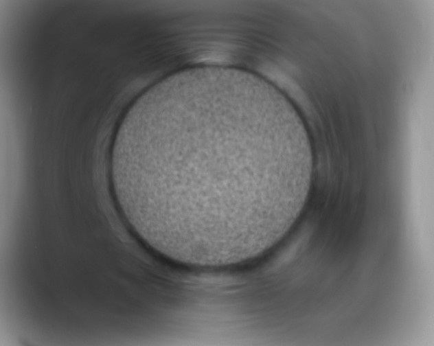 X0000089870529200707191940