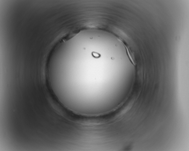 X0000089870530200707191940