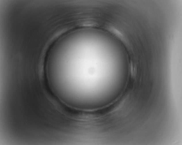 X0000089870531200707191940