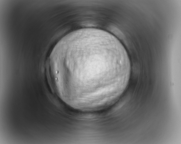 X0000089870533200707191940