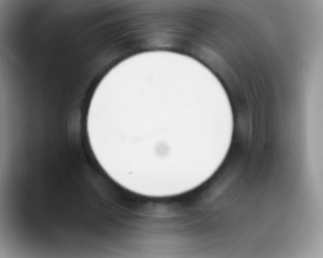 X0000089870534200707191940