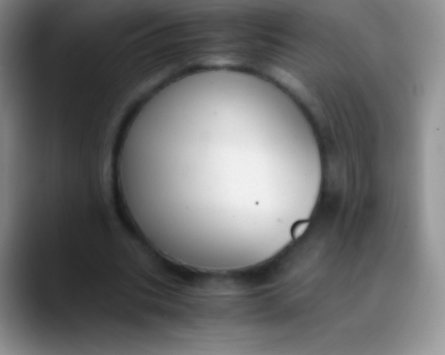 X0000089870535200707191940