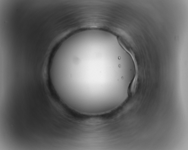 X0000089870536200707191940