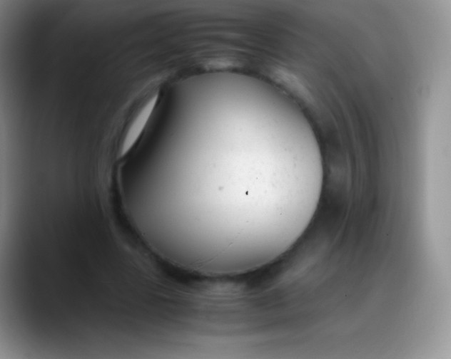 X0000089870539200707191940