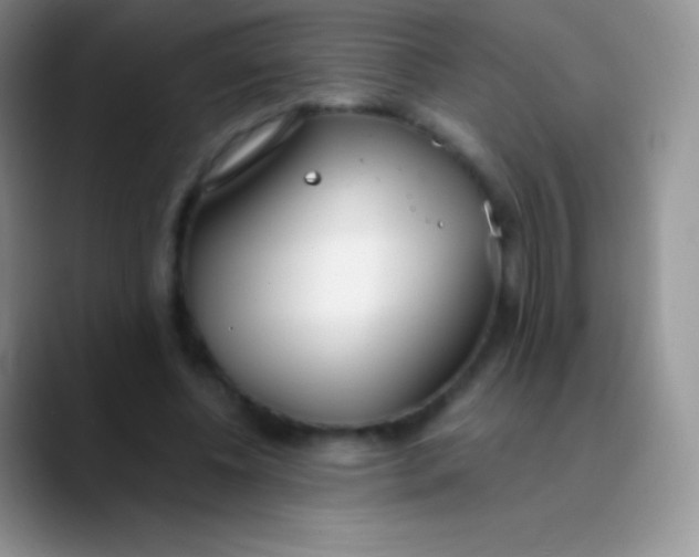 X0000089870540200707191940