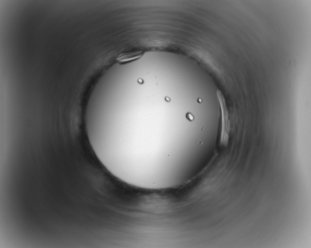 X0000089870544200707191940