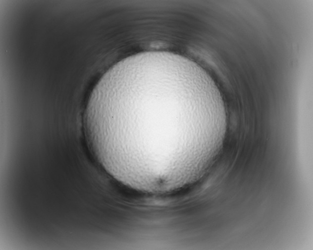 X0000089870545200707191940