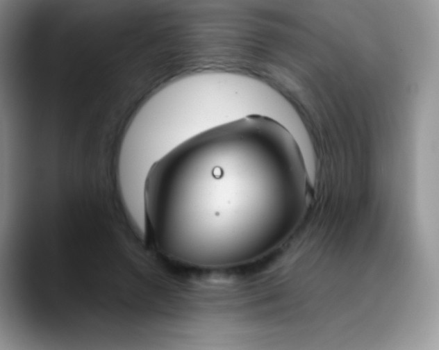 X0000089870546200707191940