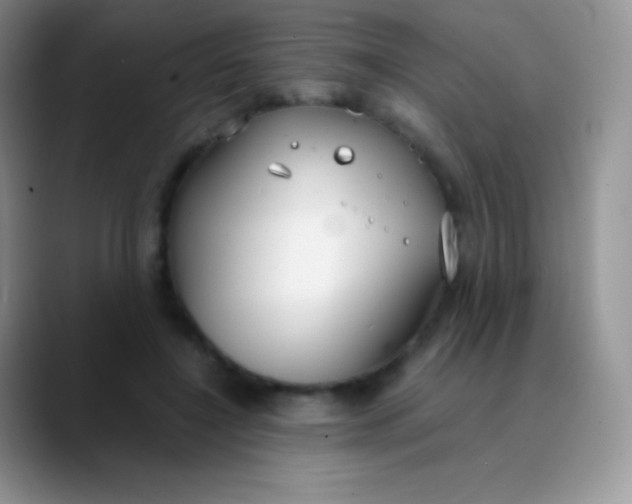 X0000089870548200707191940