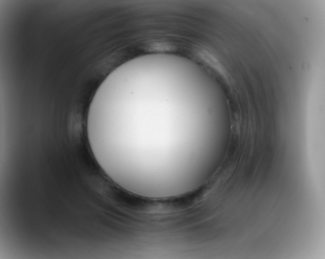 X0000089870549200707191940