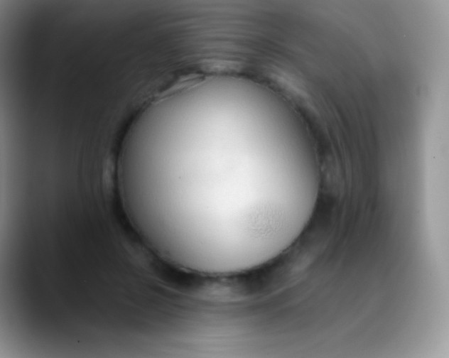 X0000089870550200707191940