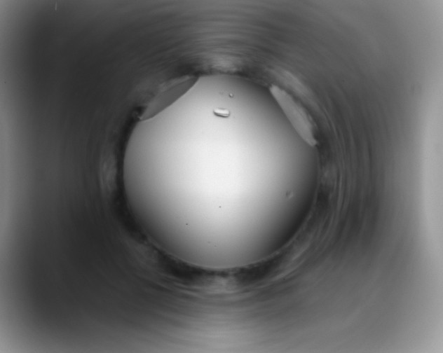 X0000089870552200707191940