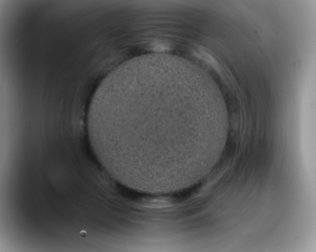 X0000089870553200707191940