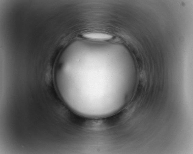 X0000089870554200707191940