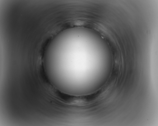 X0000089870555200707191940