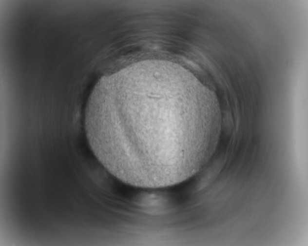 X0000089870557200707191940