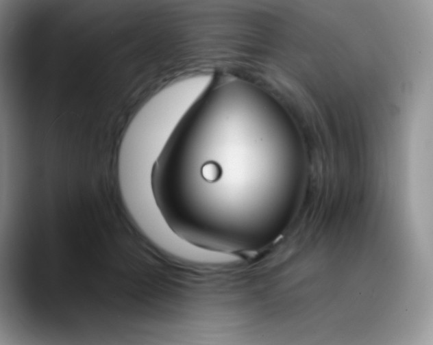 X0000089870558200707191940