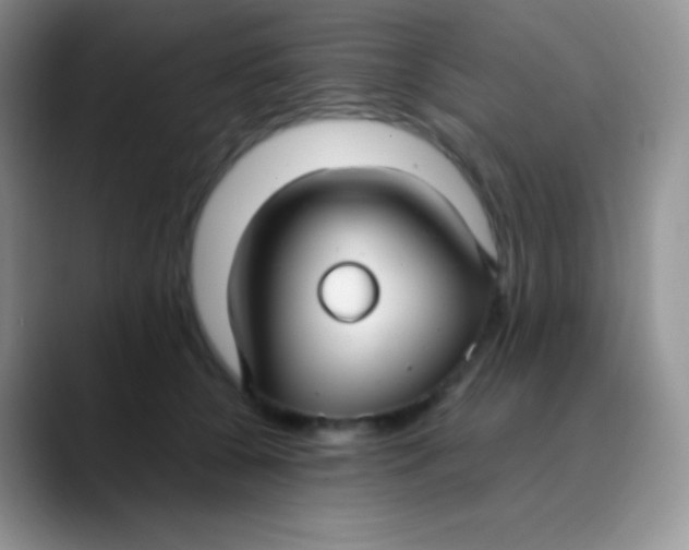 X0000089870560200707191940