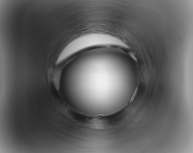 X0000089870562200707191940