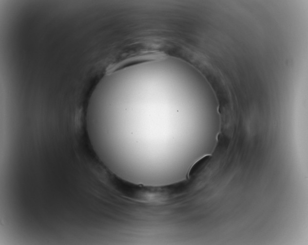 X0000089870563200707191940