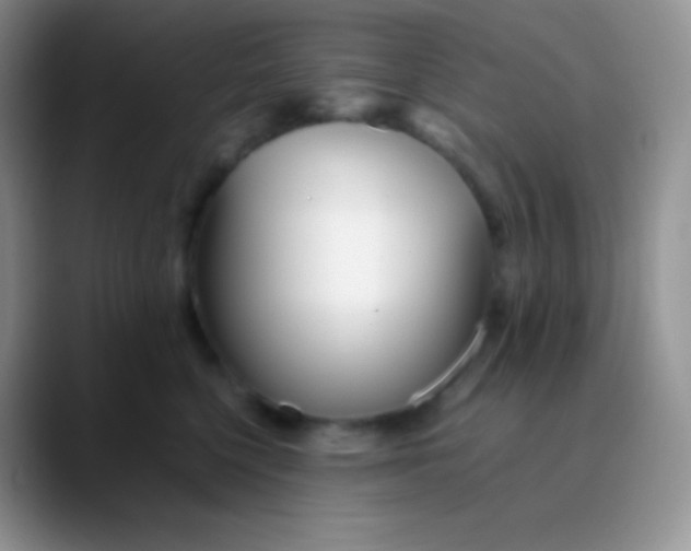 X0000089870568200707191940