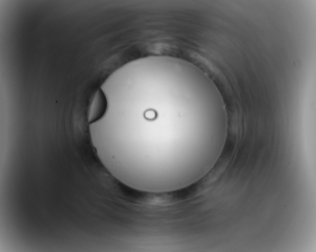 X0000089870569200707191940