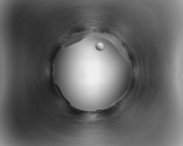 X0000089870570200707191940