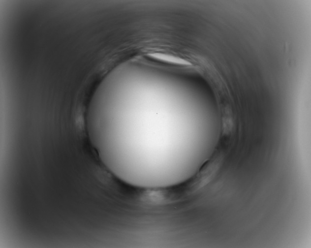 X0000089870573200707191940