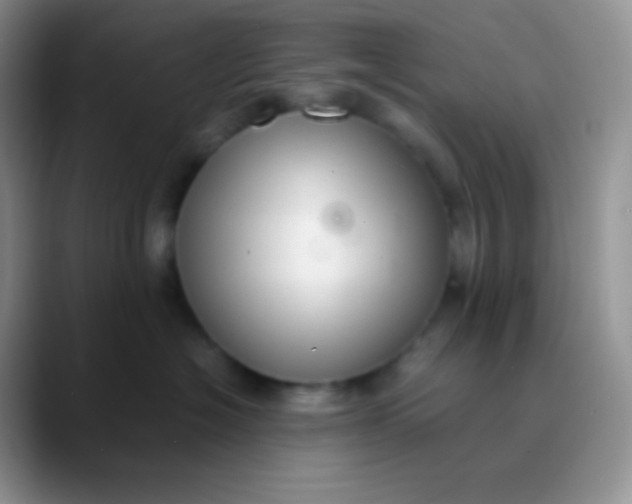 X0000089870574200707191940