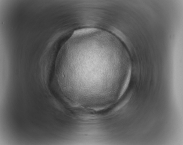 X0000089870577200707191940