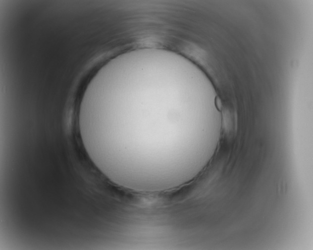 X0000089870579200707191940