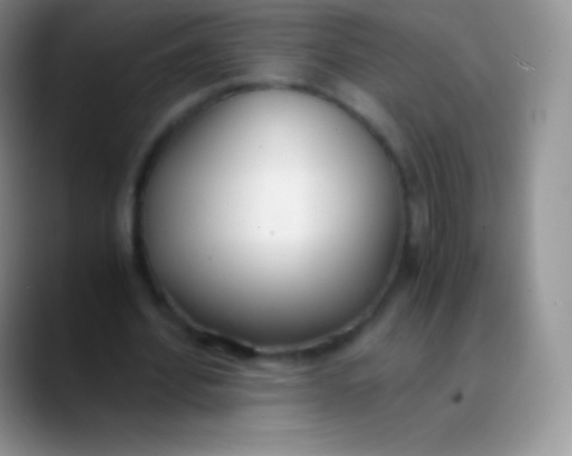 X0000089870580200707191940