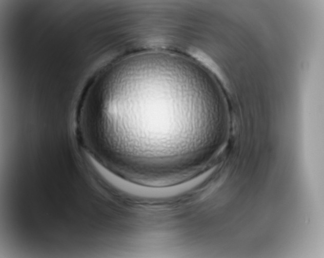 X0000089870581200707191940