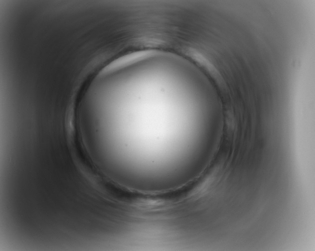 X0000089870582200707191940