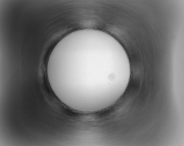 X0000089870583200707191940