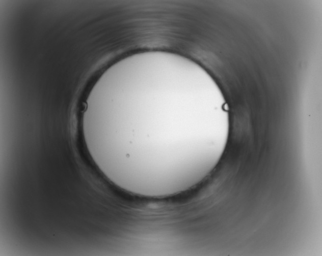 X0000089870584200707191940