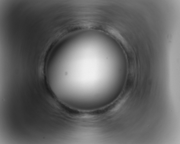 X0000089870585200707191940