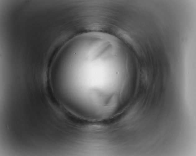 X0000089870586200707191940