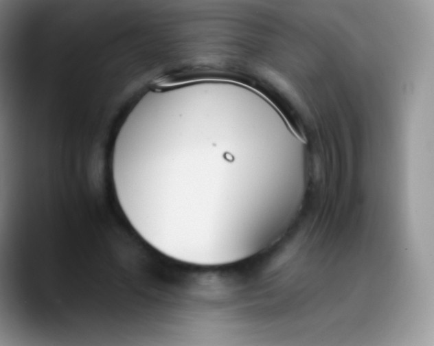 X0000089870588200707191940