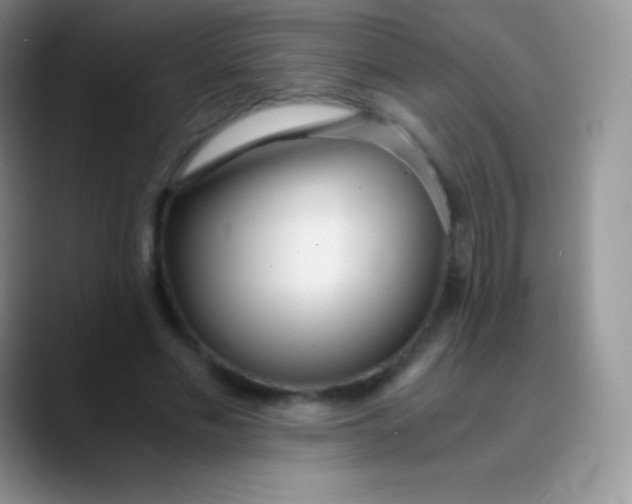 X0000089870589200707191940