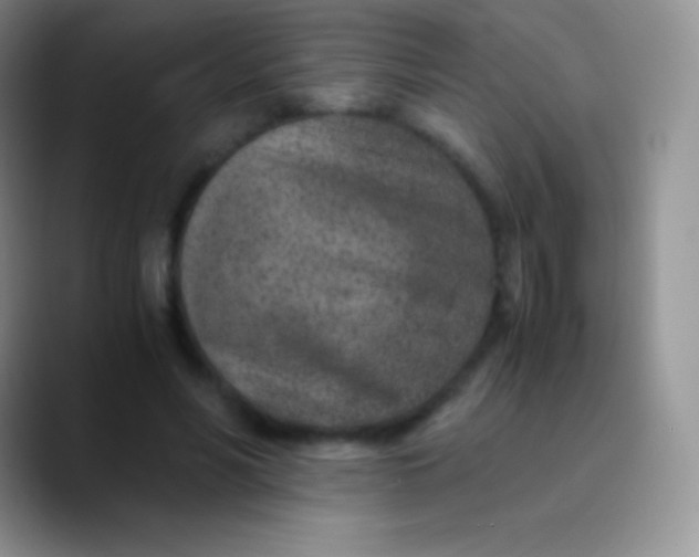 X0000089870590200707191940