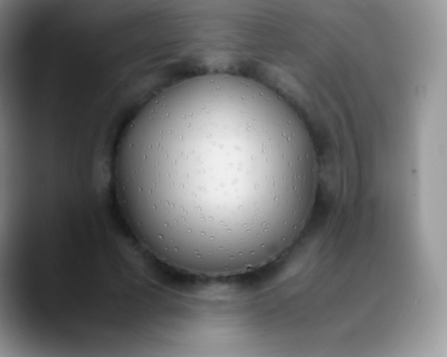 X0000089870593200707191940