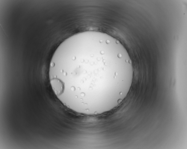 X0000089870594200707191940