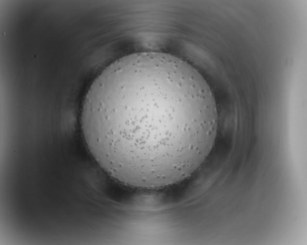 X0000089870595200707191940