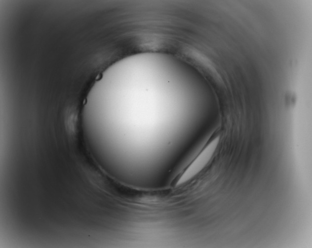 X0000089870596200707191940