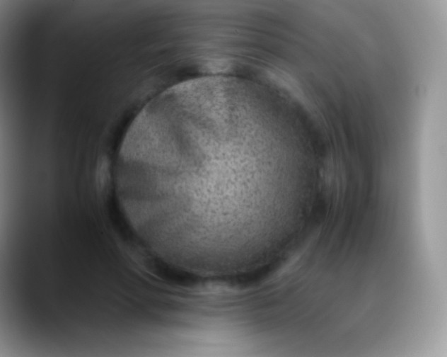 X0000089870598200707191940