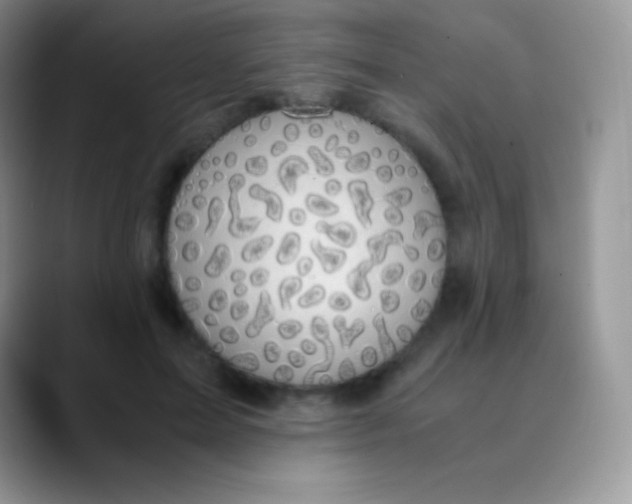 X0000089870599200707191940