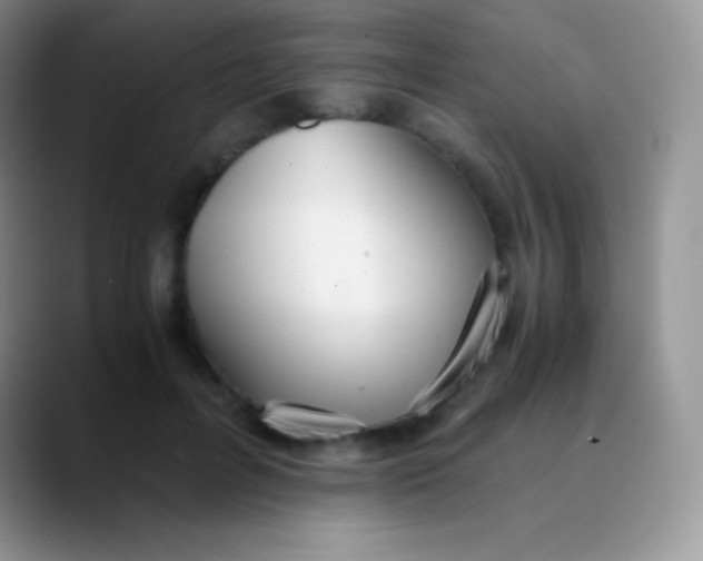 X0000089870600200707191940