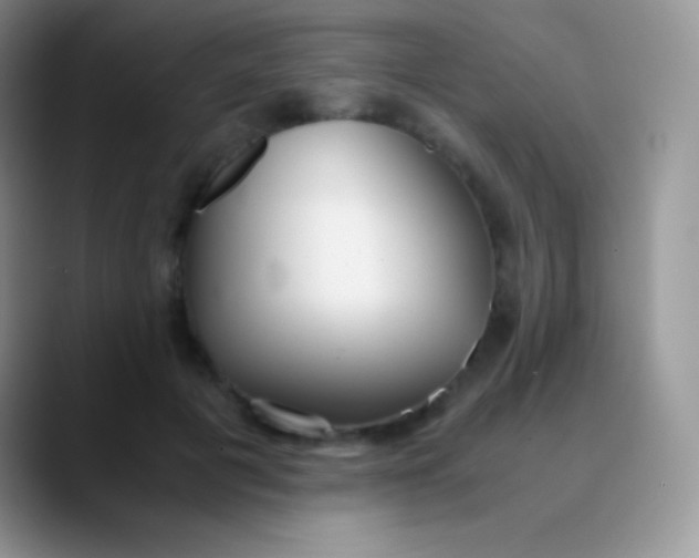 X0000089870601200707191940