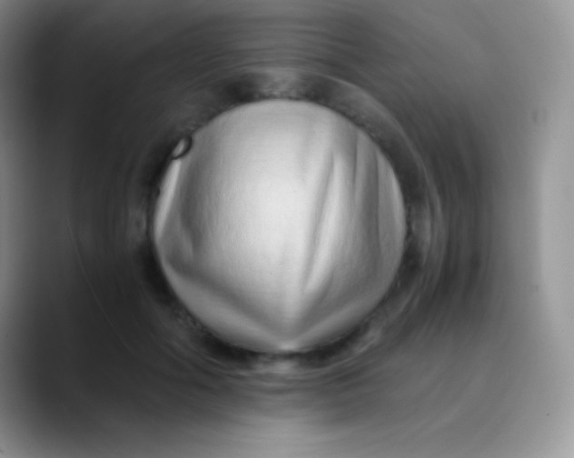 X0000089870602200707191940